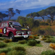 Illustration for article titled Forty 3rd: THE GRUELING SAFARI RALLY PART 1